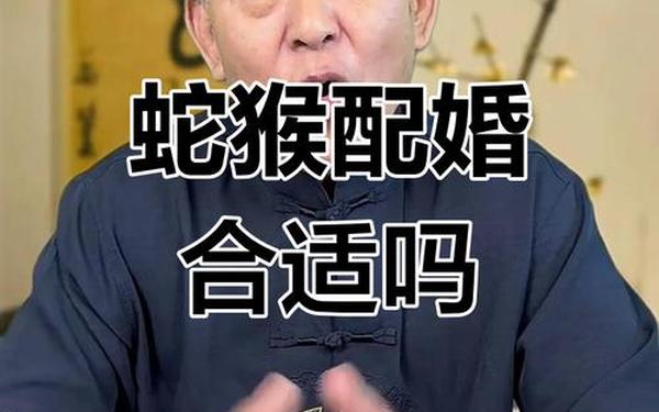猴和蛇匹配吗 蛇与猴是相生还是相克 猴和蛇匹配吗 蛇与猴是相生还是相克