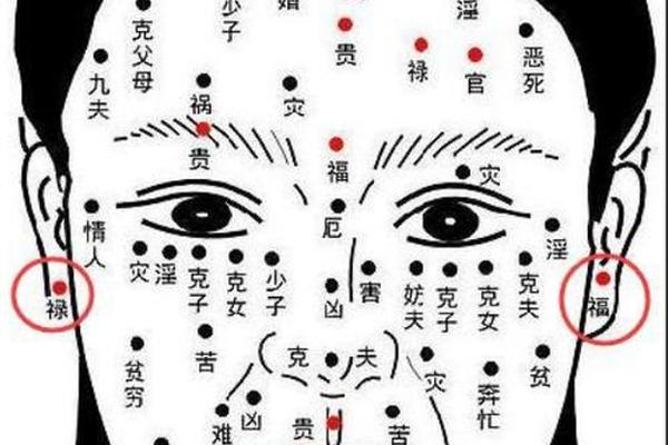 大少奶奶的痣相—老来特别享福的痣