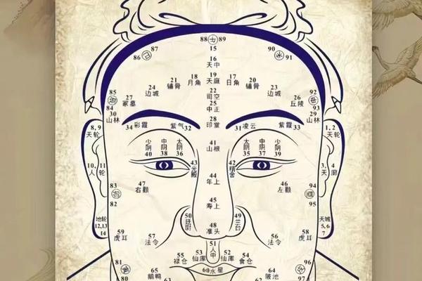 君王夫的痣相详解—君王夫痣与九夫痣区别