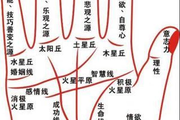 手掌痣相说明图、手掌痣相图解