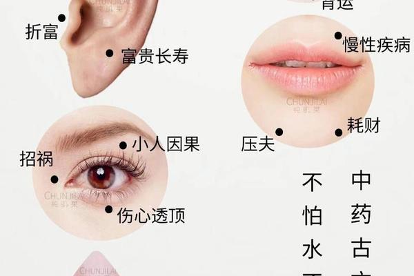 痣相相应口决-应痣歌诀原理