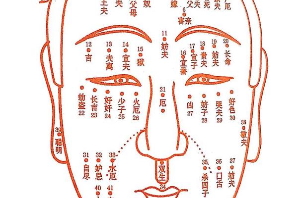 人的面相与痣相有关吗女、最准的痣相图解