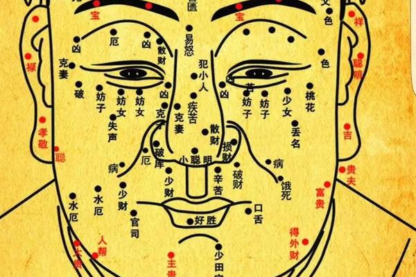 印相美人痣图解大全 起痣留下的红印怎么办 印相美人痣图解大全 起痣留下的红印怎么办