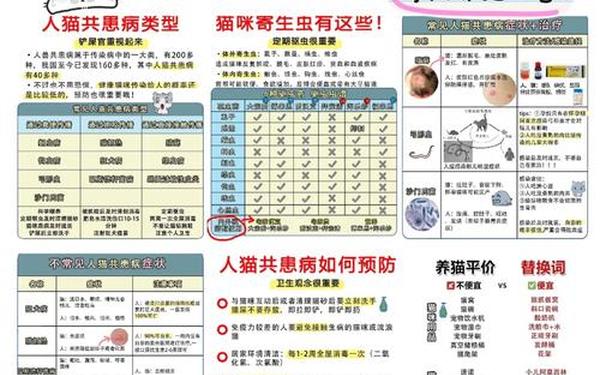 属猴的人可以养猫可以化解吗 属猴的女人能养猫吗 属猴的人可以养猫可以化解吗 属猴的女人能养猫吗