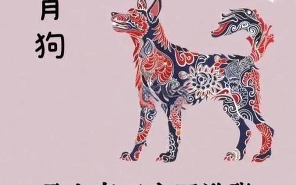 属狗的今年有一难 属狗的今年有一难