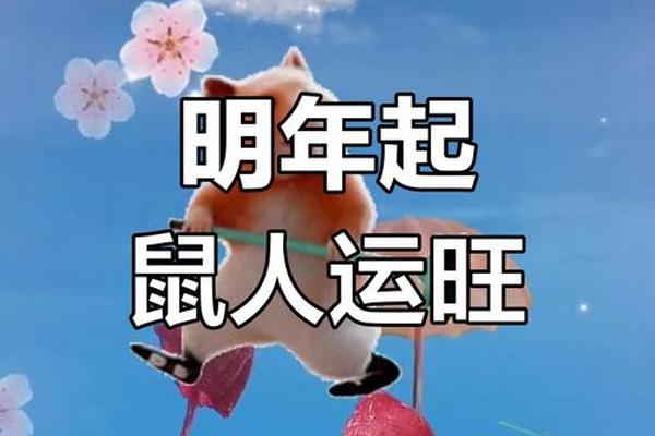 72年属鼠男2023到2024运势