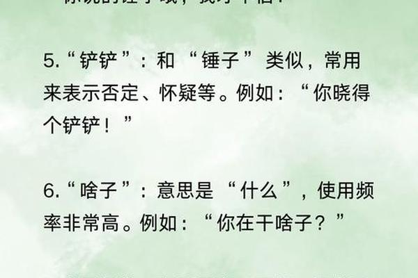 方言文化不能丢(保留方言的必要性)