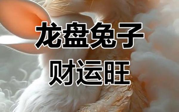 属兔和属龙做生意可以合作吗 属兔和属龙做生意可以合作吗