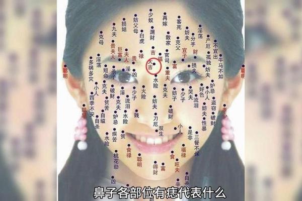 相法鼻梁有痣-鼻梁上痣相图解大全