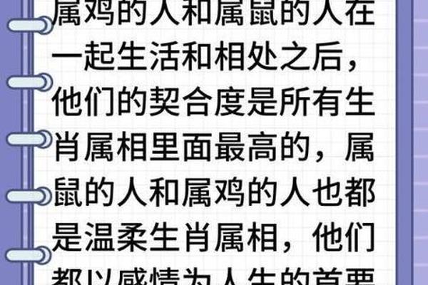 93年鸡男配96女鼠是几等婚姻