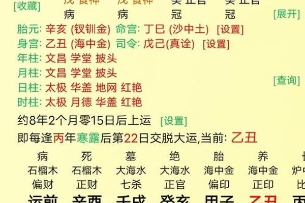 怎么看八字属什么