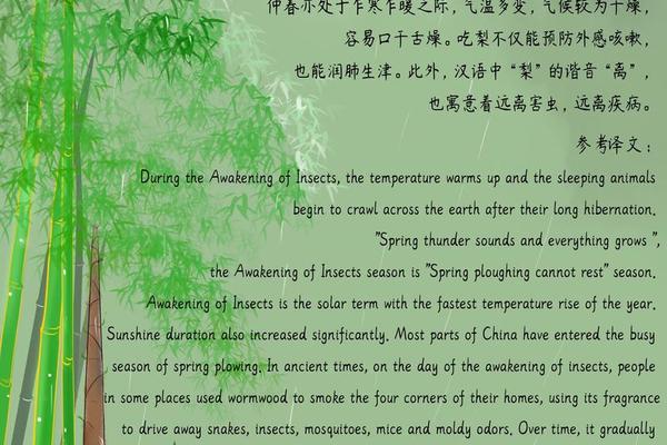 文化的英文大全_传统文化英语句子加翻译