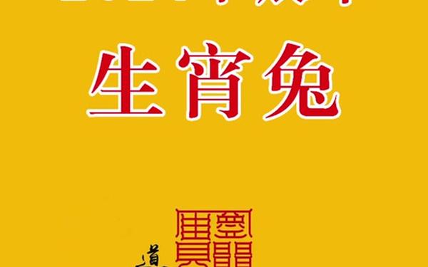 兔年是2024 兔年是2024