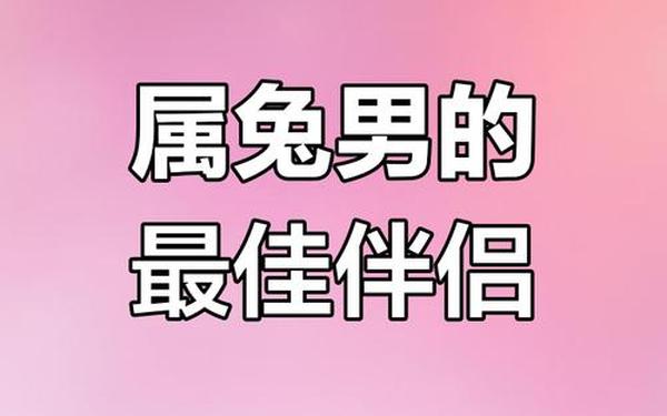 属狗的跟属兔的合不合 属狗的跟属兔的合不合