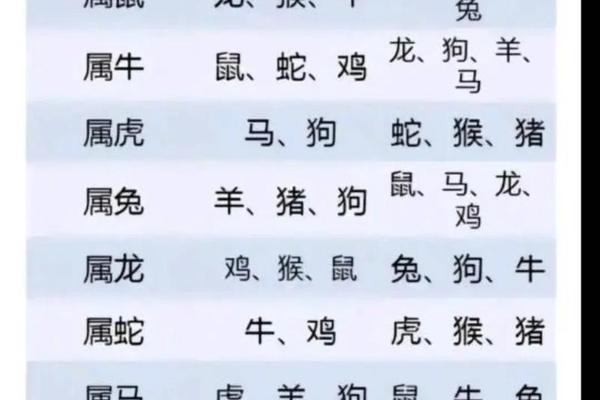 1993鸡男与1996鼠女八字合不合