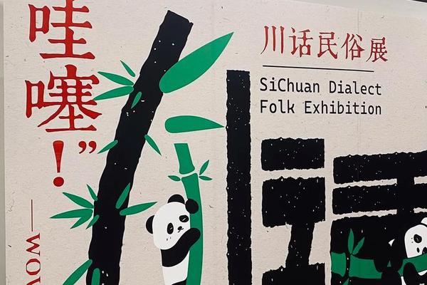 方言文化活动,文化活动包括哪些活动
