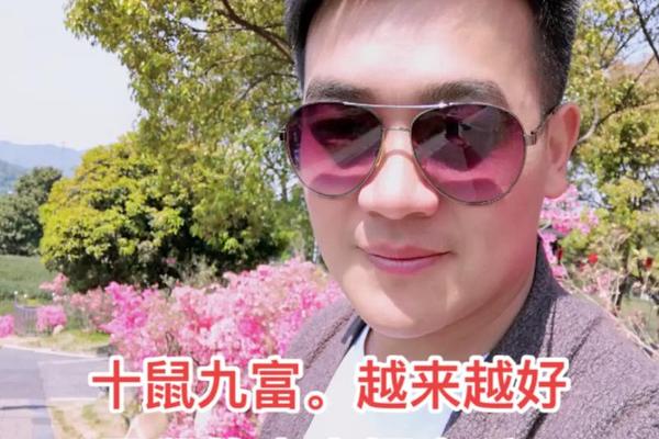 84年鼠2024年下半年运势