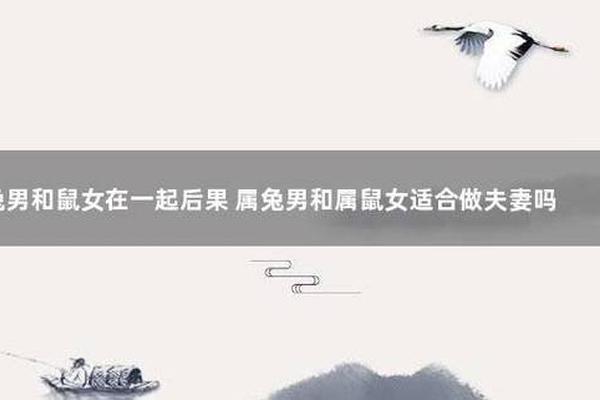 75女兔和72男鼠适合在一起吗