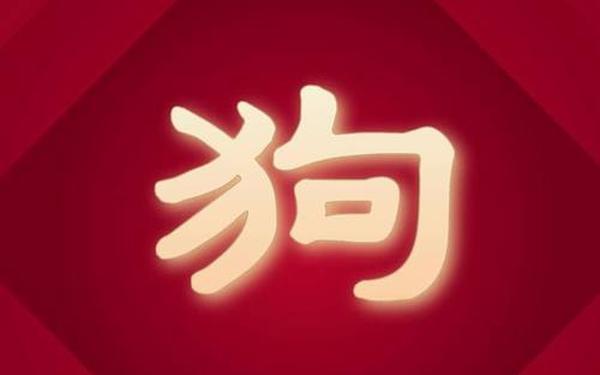 属狗是哪些年份出生（生肖狗五行属什么）
