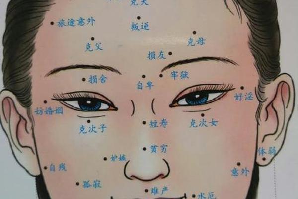 智慧痣相 百度网盘(面相全图解析软件)