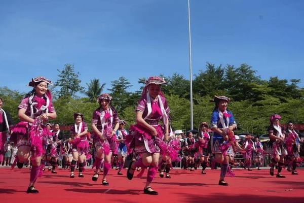 本土文化舞蹈视频大全—海南特色本土文化