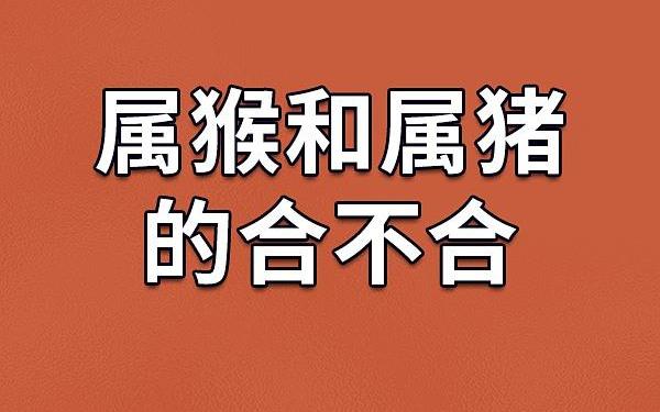 属猴的和属猪的相配吗婚姻(猴和猪的婚配忌讳) 属猴的和属猪的相配吗婚姻(猴和猪的婚配忌讳)
