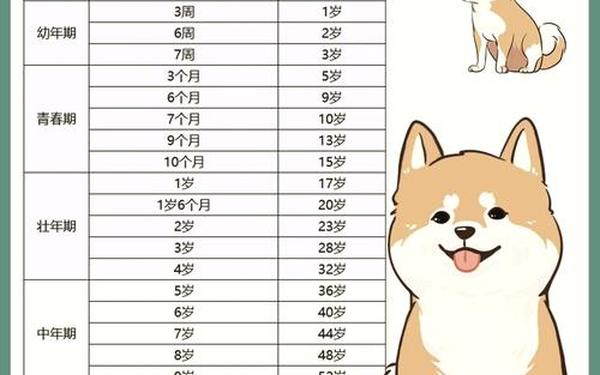 狗几时出生大富大贵_属狗什么时辰出生富贵 狗几时出生大富大贵_属狗什么时辰出生富贵
