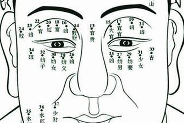 柳庄神相 面痣-鼻小柱中间有痣面相