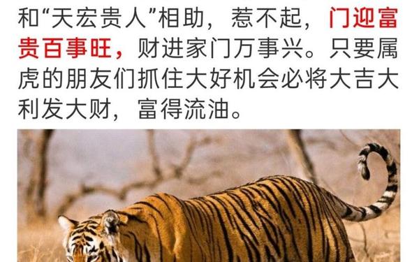 1986年属虎男的婚配命运-1986属虎37岁后有十年大运
