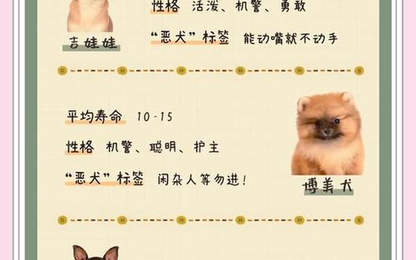 属狗的人性格和优缺点 属狗的人性格和优缺点