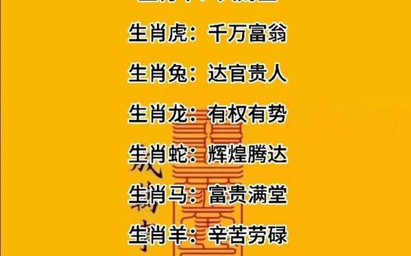 单是指什么生肖 单是指什么生肖