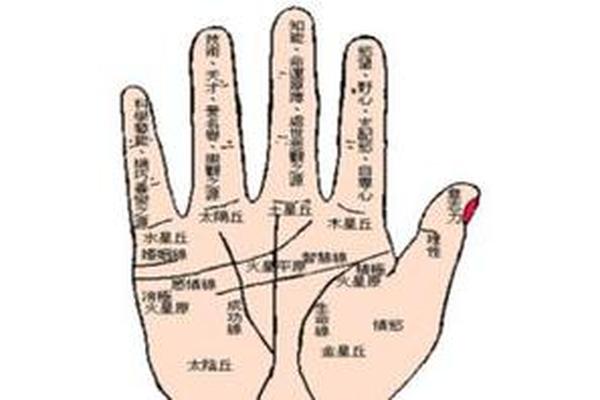 右手大拇指痣相 手掌痣相图解