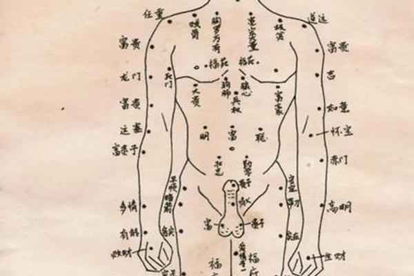 臀部痣相的含义-女性臀部有痣代表什么