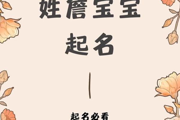 姓名是怎么起的