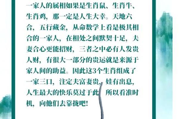 96年的鼠过了28岁会越来越好