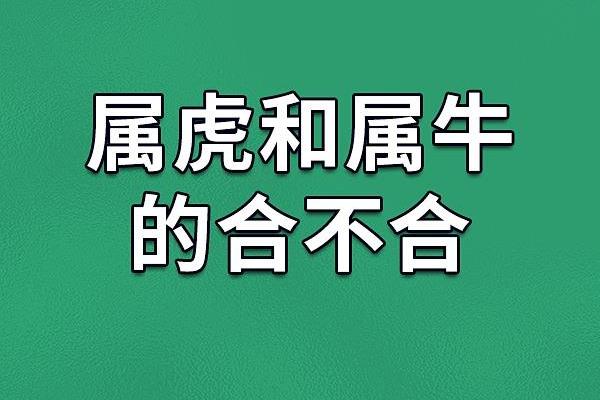 属相牛和虎 属牛和属虎的婚姻相配吗