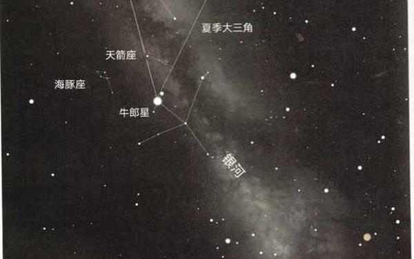牵牛织女星属于什么星座(牛郎星和织女星属于哪个星座) 牵牛织女星属于什么星座(牛郎星和织女星属于哪个星座)