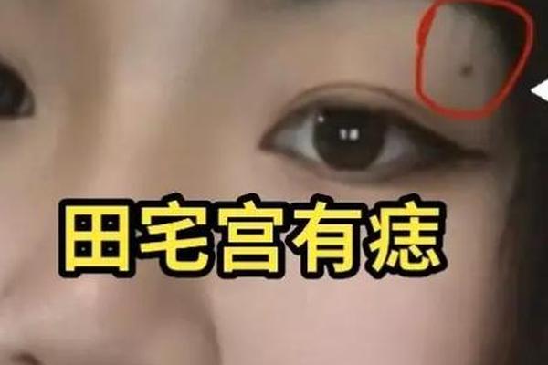田宫有肉痣相的女人(痣相大全图解)