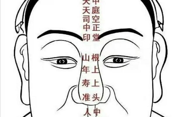 柳庄神相身体背后痣图;柳庄神相面相图