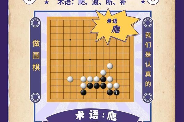 围棋文化常识题目大全(围棋文化常识)