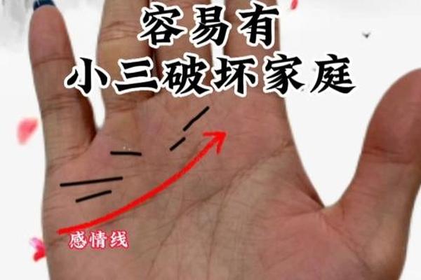 小三的八字
