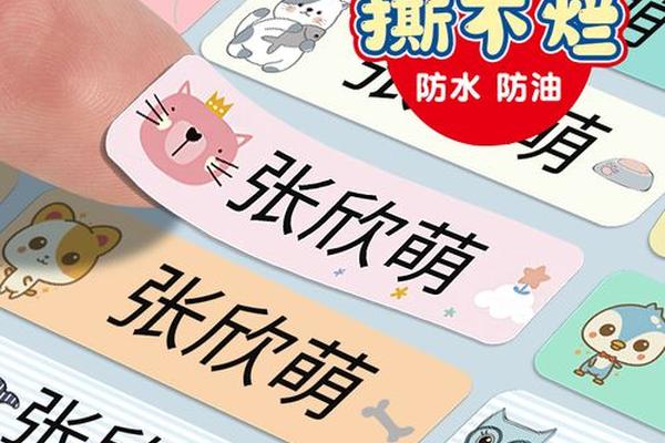 姓名贴班级姓名学号大号