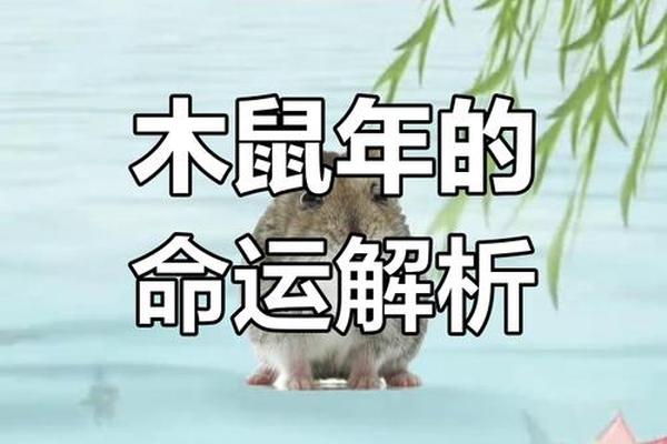 1984鼠是什么命五行属什么