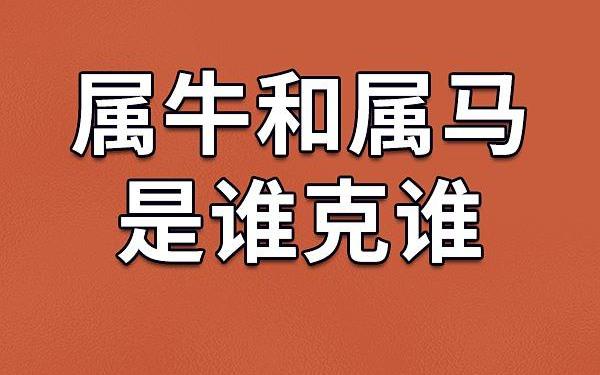 牛马是不是相冲 生肖牛和马属相合不合 牛马是不是相冲 生肖牛和马属相合不合