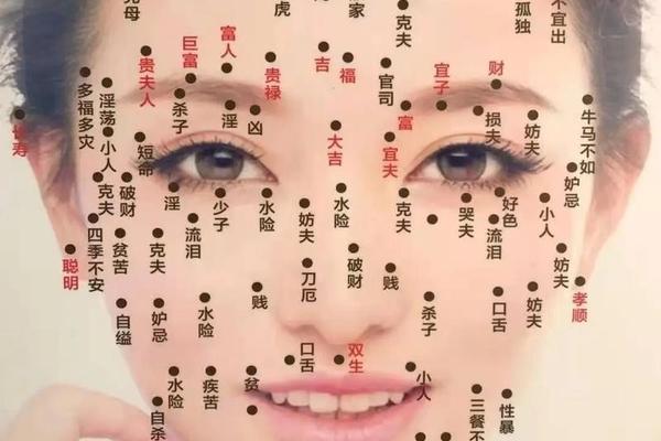 九夫痣相女,女人痣相图解
