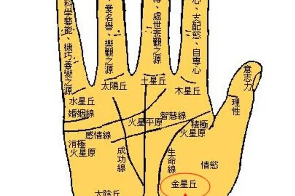 手痣相-手相黑痣图解