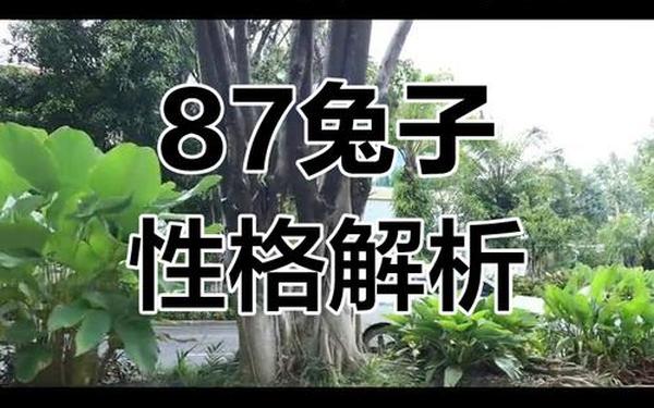 87年兔女的性格与脾气 87年兔女的性格与脾气