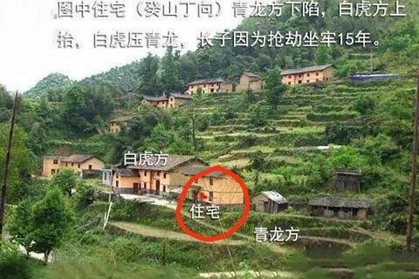 痣相说的白虎是什么意思_男人面部痣相青龙
