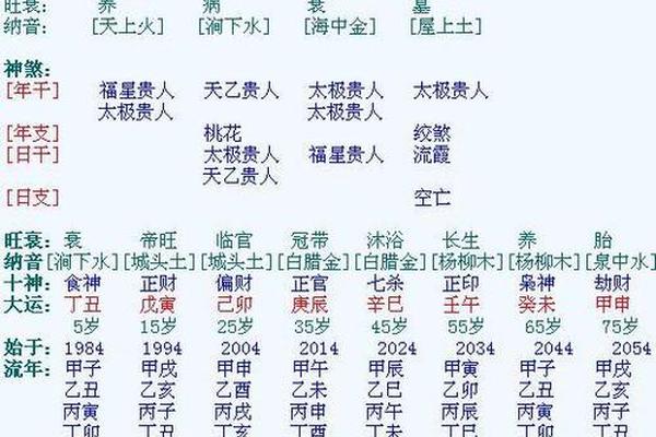 丙子八字 丙子八字