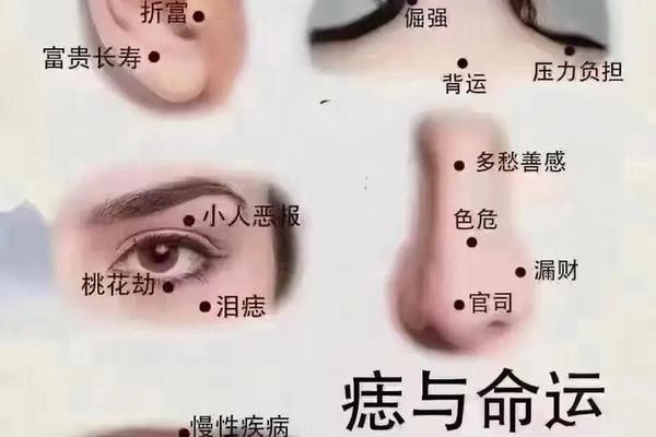 男相鼻子旁肉痣;鼻子上长肉痣好不好